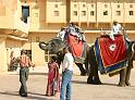 Jaipur-Amber_erod-palota_elefantok
